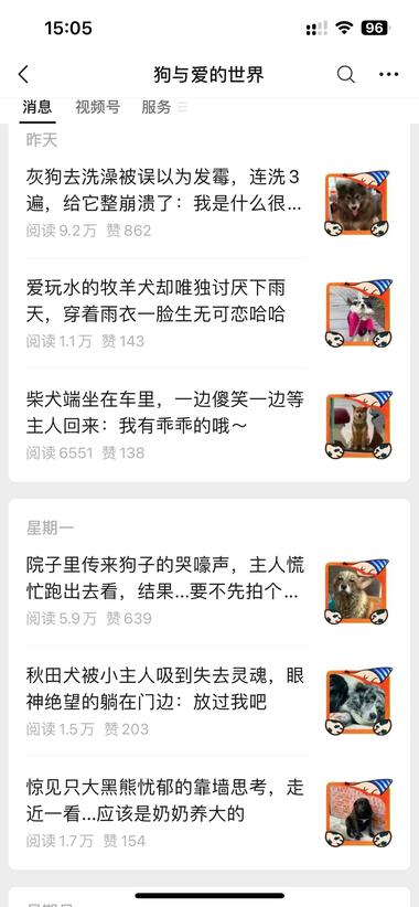 #风向标 喜欢宠物的朋友可以参考这个账….-航海圈