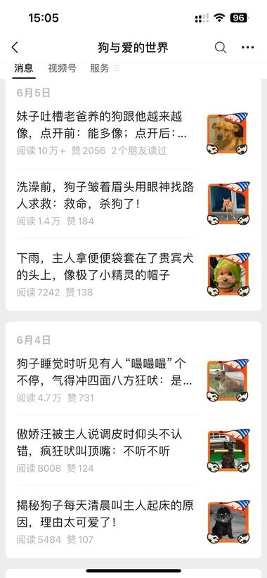 图片[7]-#风向标 喜欢宠物的朋友可以参考这个账….-网创风向标论坛-网络创业-网创圈