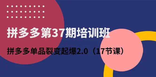 拼多多第37期培训班：拼多多单品裂变起爆2.0（17节课）-航海圈