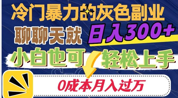 冷门暴利的副业项目，聊聊天就能日入300+，0成本月入过万【揭秘】-航海圈