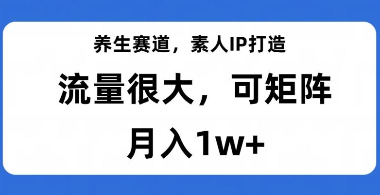 养生赛道，素人IP打造，流量很大，可矩阵，月入1w+【揭秘】-航海圈