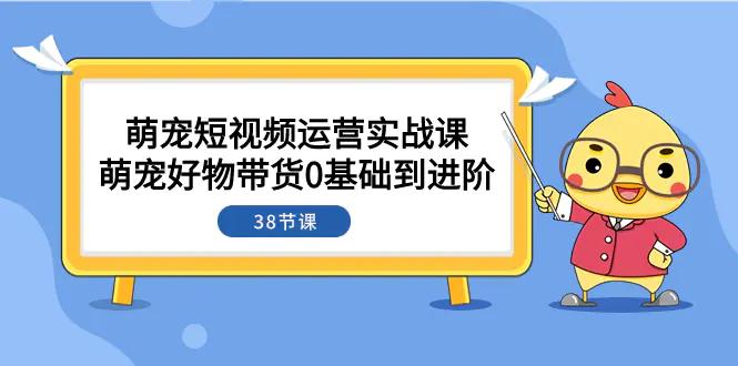 萌宠·短视频运营实战课：萌宠好物带货0基础到进阶（38节课）-航海圈