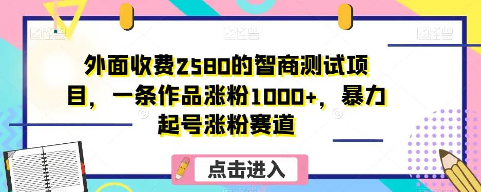 外面收费2580的智商测试项目，一条作品涨粉1000+，暴力起号涨粉赛道【揭秘】-航海圈
