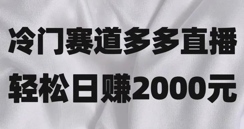冷门赛道拼多多直播，简单念稿子，日收益2000＋【揭秘】-航海圈
