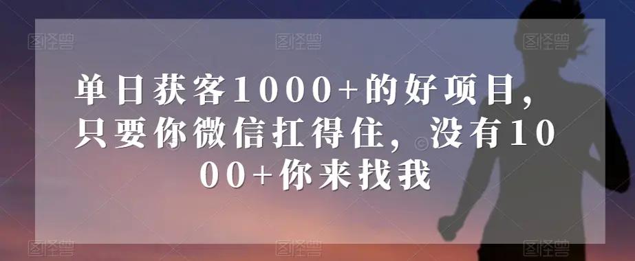 单日获客1000+的好项目，只要你微信扛得住，没有1000+你来找我【揭秘】-航海圈