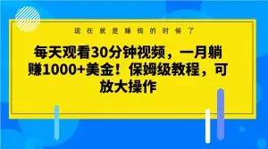 每天观看30分钟视频，一月躺赚1000+美金！保姆级教程，可放大操作【揭秘】-航海圈