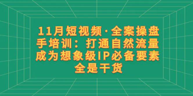 11月短视频·全案操盘手培训：打通自然流量 成为想象级IP必备要素 全是干货-航海圈