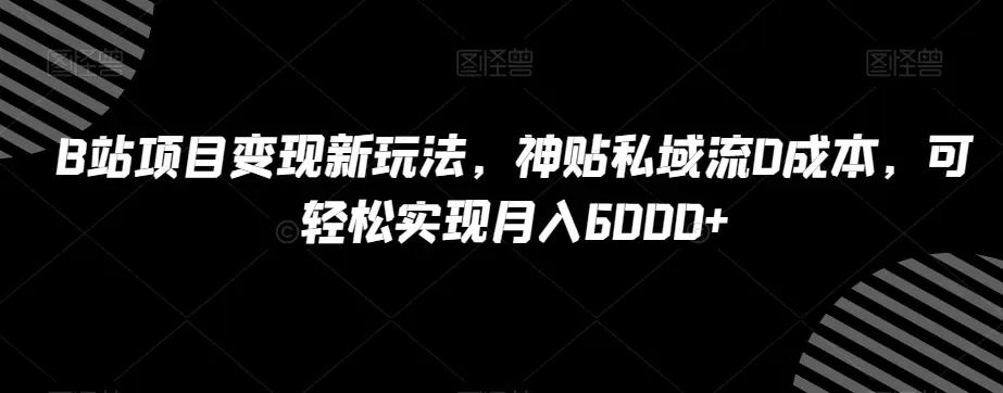 B站项目变现新玩法，神贴私域流0成本，可轻松实现月入6000+【揭秘】-航海圈