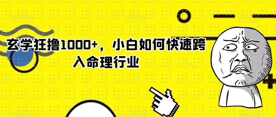 玄学狂撸1000+，小白如何快速跨入命理行业【揭秘】-航海圈