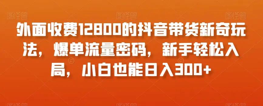 外面收费12800的抖音带货新奇玩法，爆单流量密码，新手轻松入局，小白也能日入300+【揭秘】-航海圈