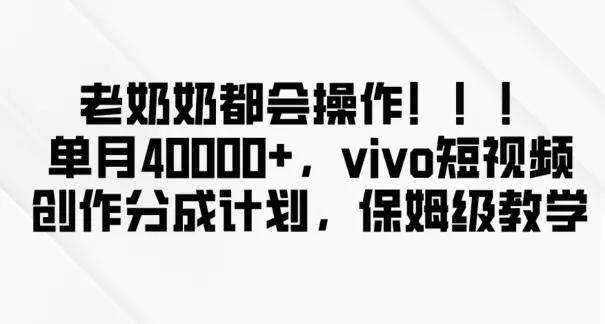 老奶奶都会操作，新平台无脑操作，单月40000+，vivo短视频创作分成计划【揭秘】-航海圈