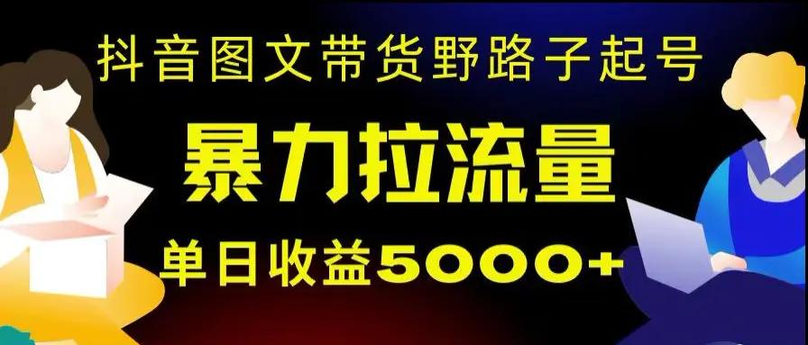 抖音图文带货暴力起号，单日收益5000+，野路子玩法，简单易上手，一部手机即可【揭秘】-航海圈
