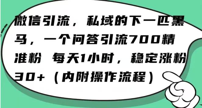 怎么搞精准创业粉？微信新赛道，每天一小时，利用Ai一个问答日引100精准粉-航海圈
