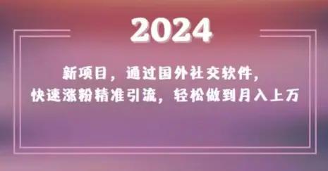 2024新项目，通过国外社交软件，快速涨粉精准引流，轻松做到月入上万【揭秘】-航海圈