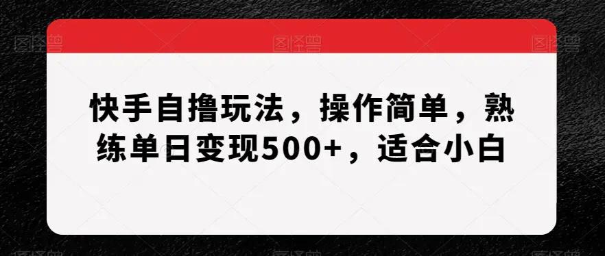 快手自撸玩法，操作简单，熟练单日变现500+，适合小白【揭秘】-航海圈