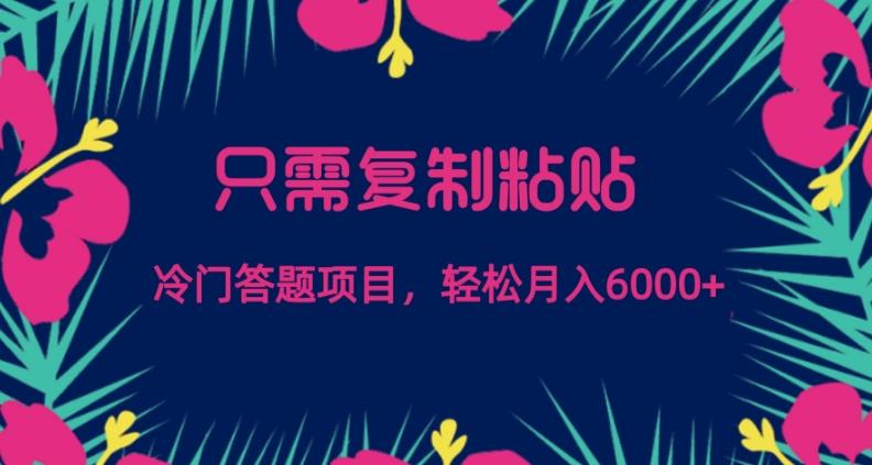 只需复制粘贴，冷门答题项目，轻松月入6000-航海圈