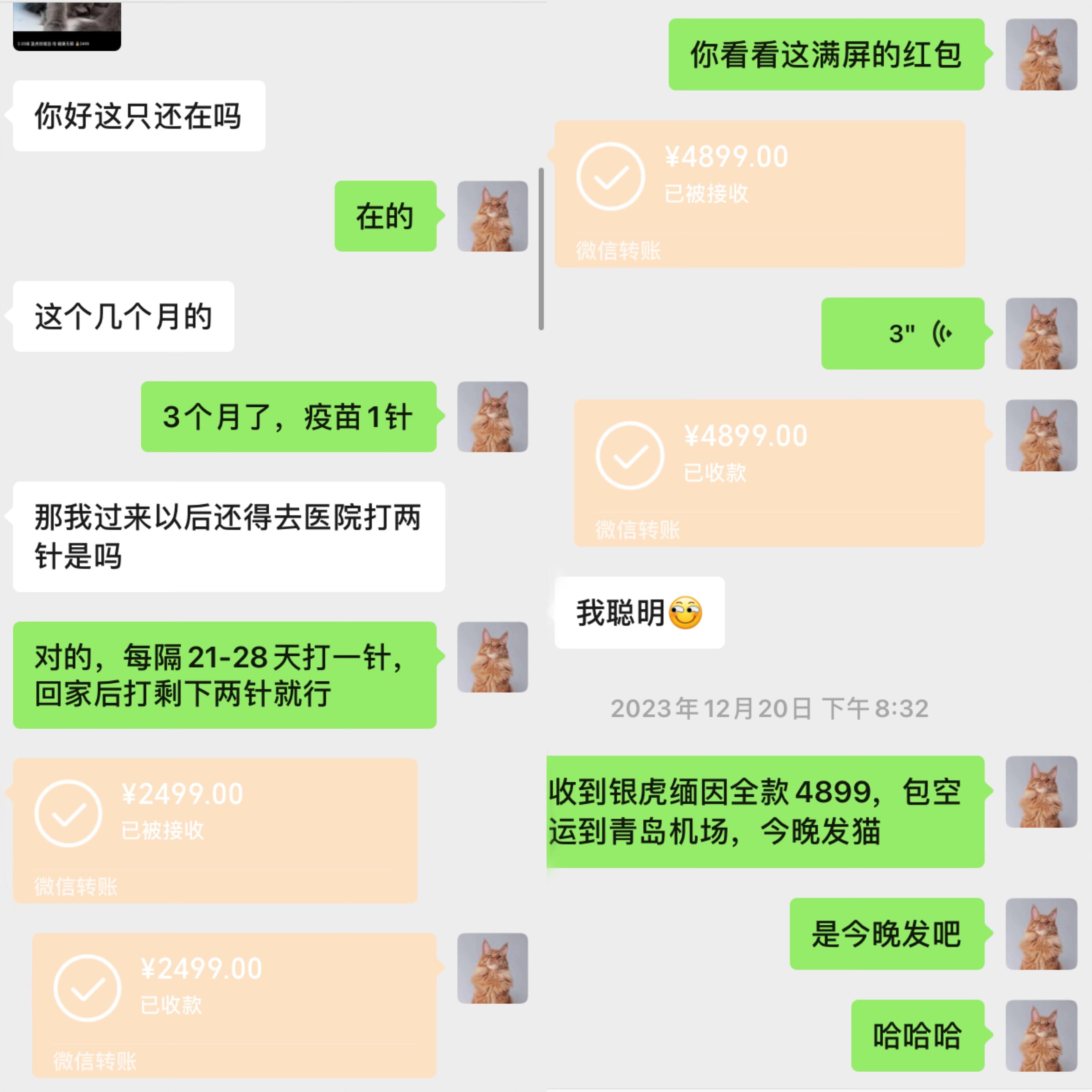 图片[10]-宠物活体项目，1年单号变现32w，6700字长文保姆级教程