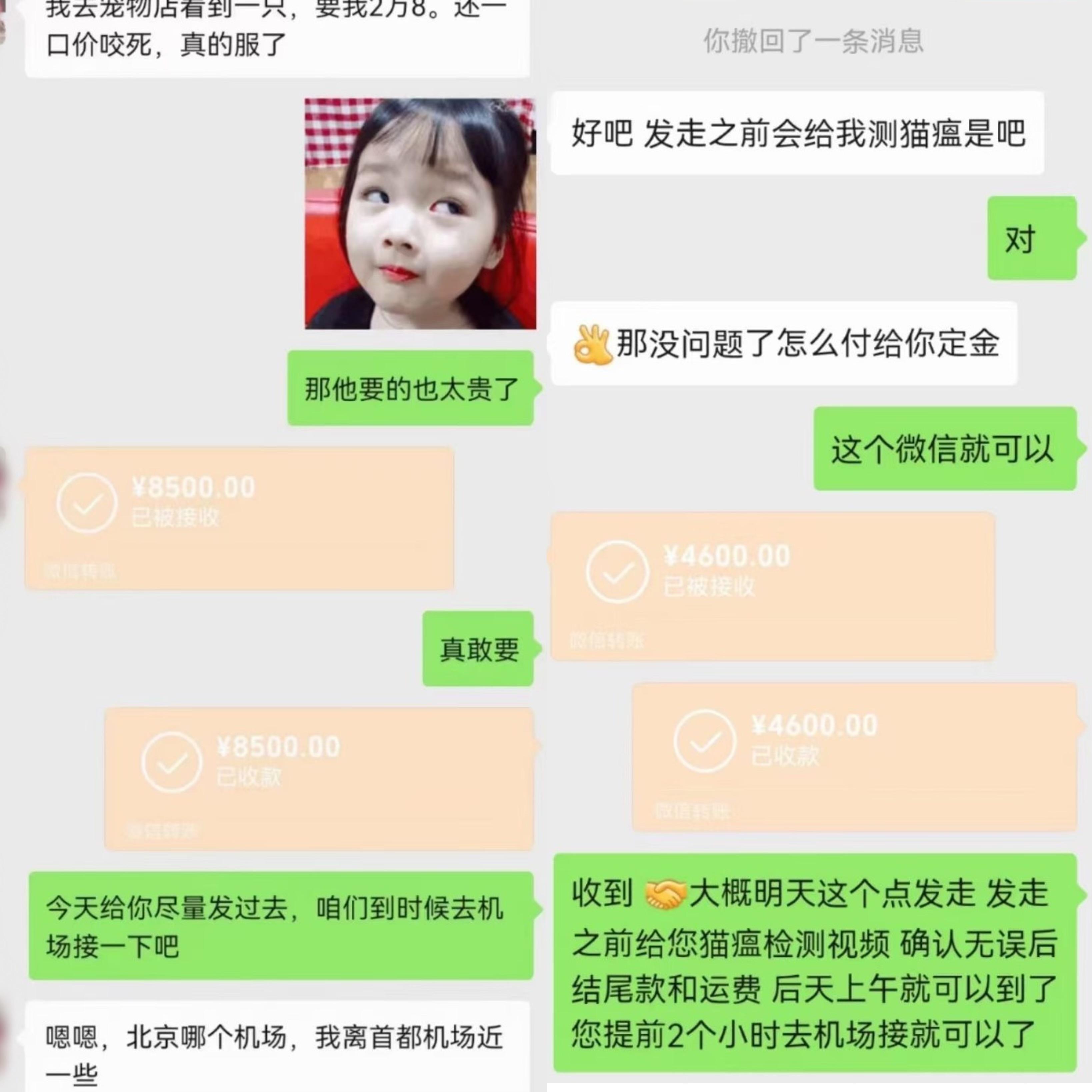 图片[11]-宠物活体项目，1年单号变现32w，6700字长文保姆级教程