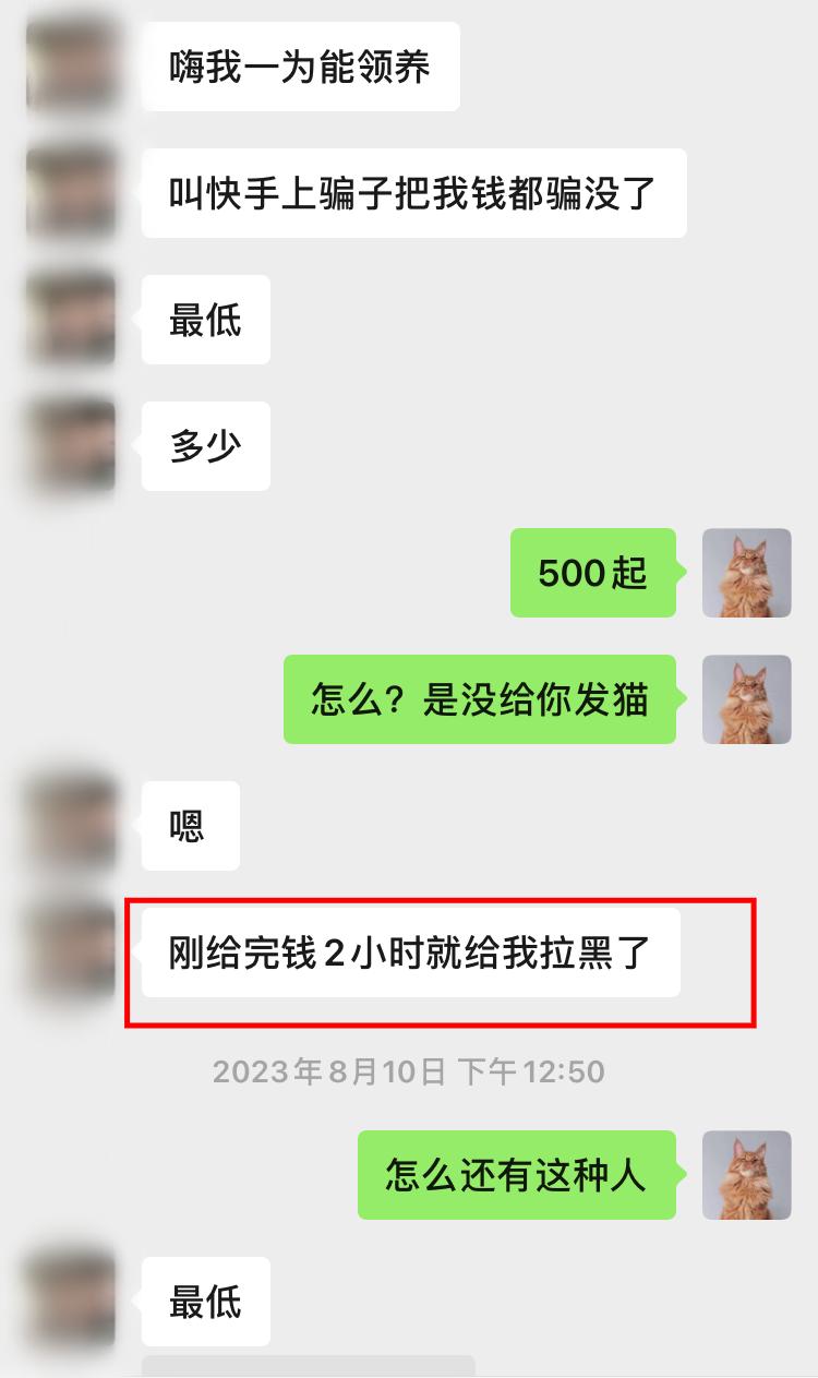 图片[12]-宠物活体项目，1年单号变现32w，6700字长文保姆级教程