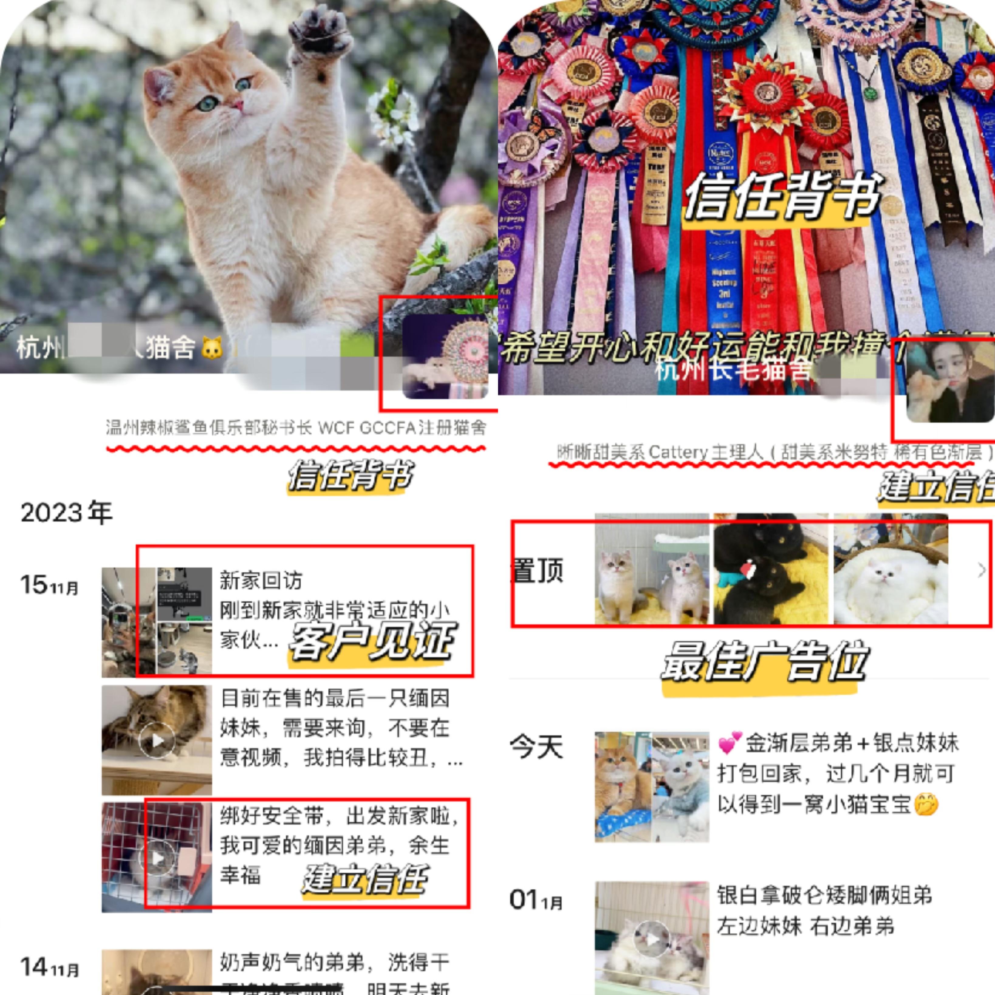 图片[13]-宠物活体项目，1年单号变现32w，6700字长文保姆级教程