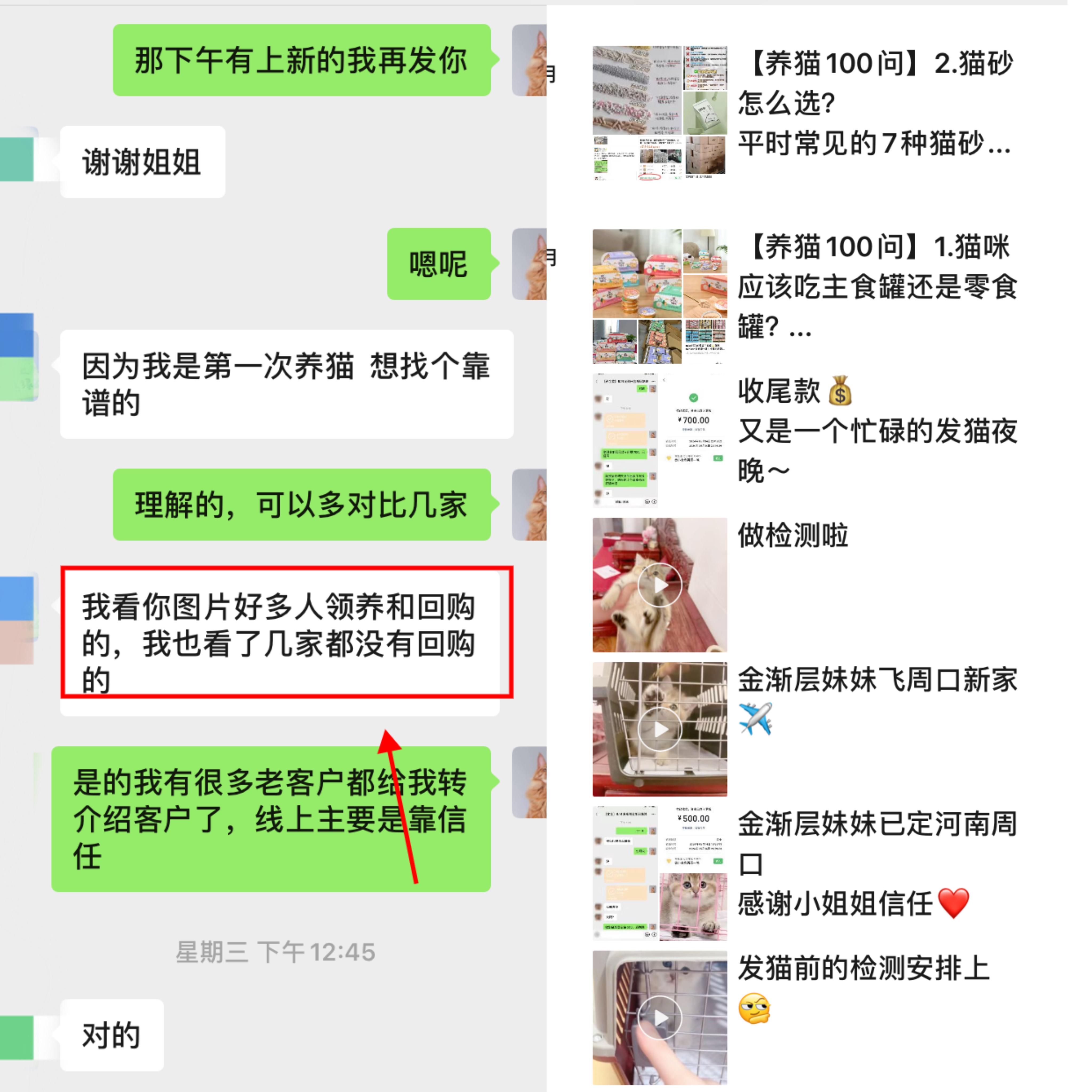 图片[14]-宠物活体项目，1年单号变现32w，6700字长文保姆级教程