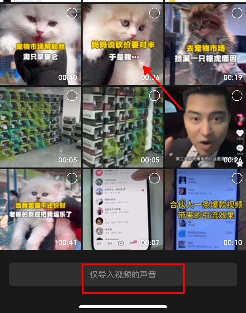 图片[25]-宠物活体项目，1年单号变现32w，6700字长文保姆级教程