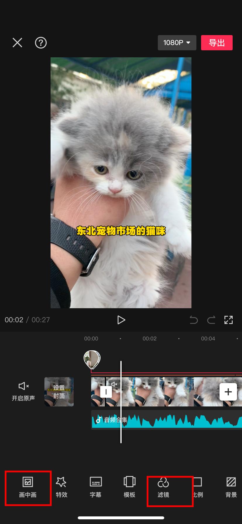 图片[26]-宠物活体项目，1年单号变现32w，6700字长文保姆级教程