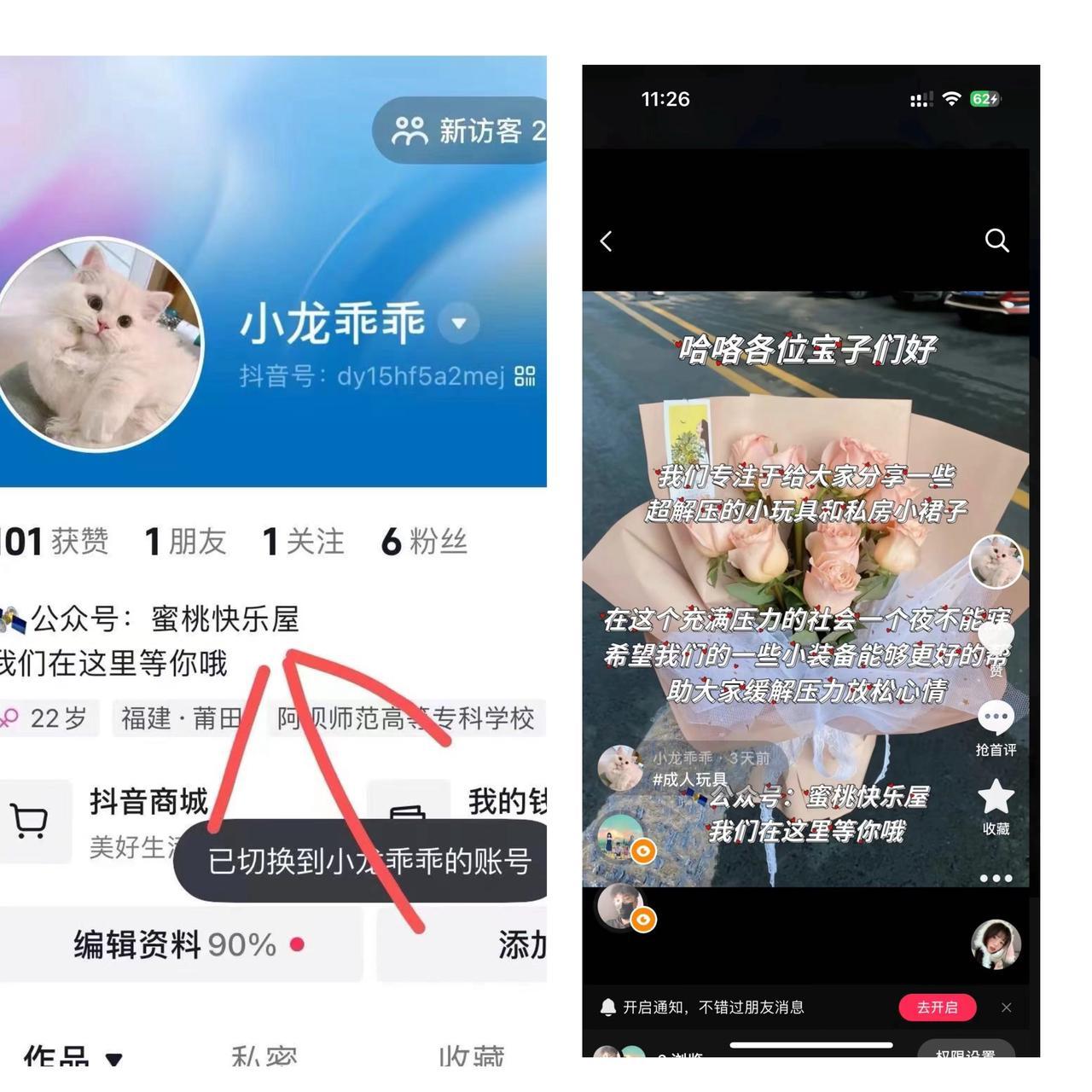 图片[3]-情趣赛道新玩法，6个月变现50w