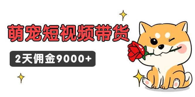 东哲日记·萌宠短视频带货，2天佣金9000+-航海圈