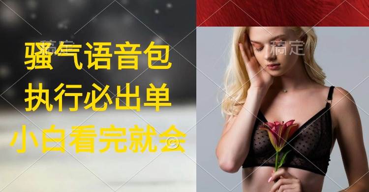 执行就出单，日入2000+，超火骚气语音包，小白看完课程就能马上实操-航海圈