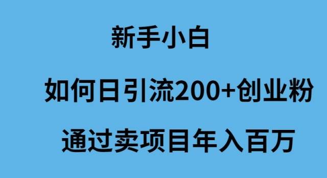 新手小白如何日引流200+创业粉通过卖项目年入百万-航海圈