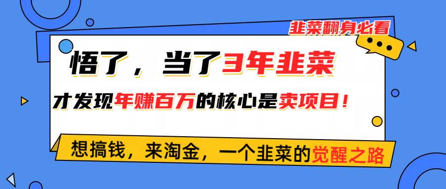 悟了，当了3年韭菜，才发现网赚圈年赚100万的核心是卖项目，含泪分享！-航海圈