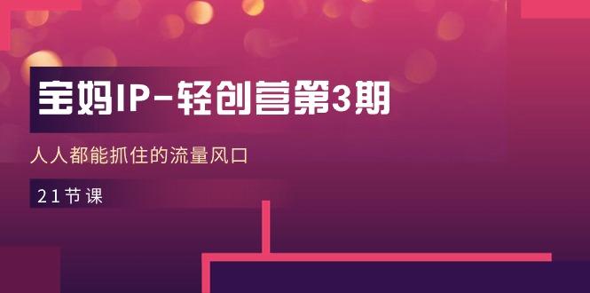 宝妈IP-轻创营第3期，人人都能抓住的流量风口（21节课）-航海圈