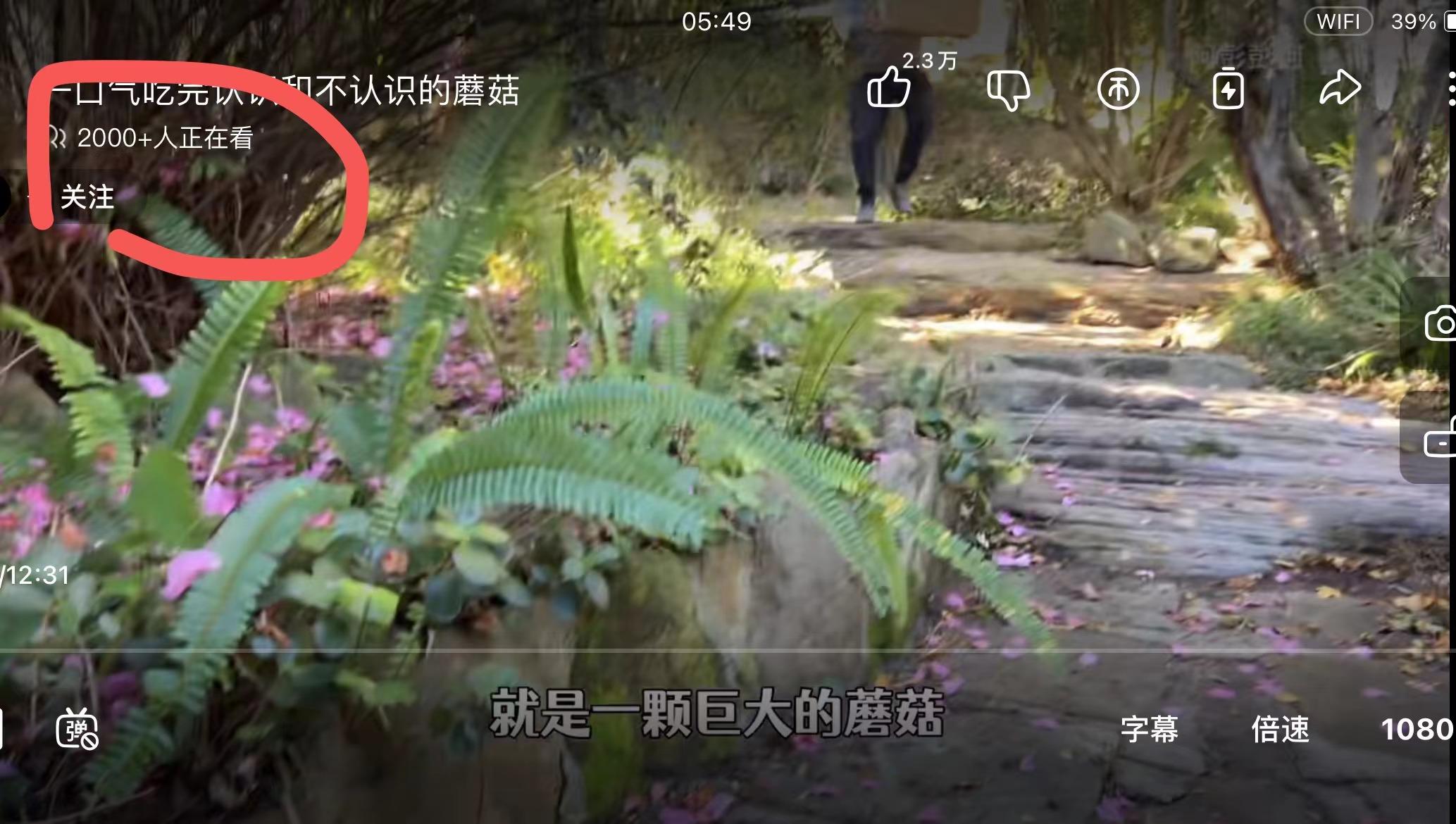 图片[8]-从0到100W利润的小红书带货宝典