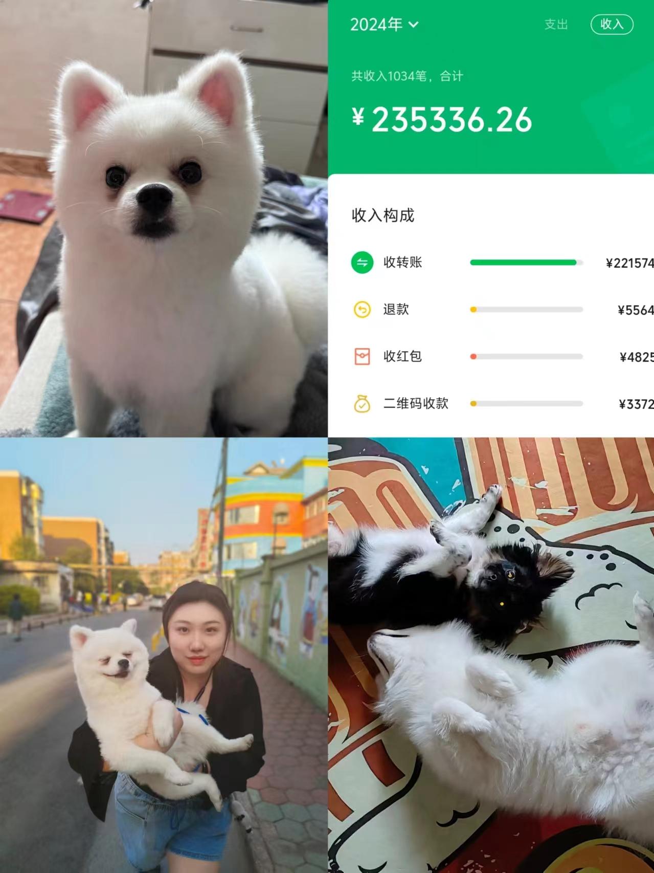 图片[1]-十八线小城市女孩，如何靠零成本项目实现刚毕业单月月入6万？