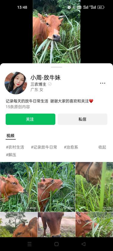 刷到一个只发牛吃草的视频号，第三条视….-航海圈