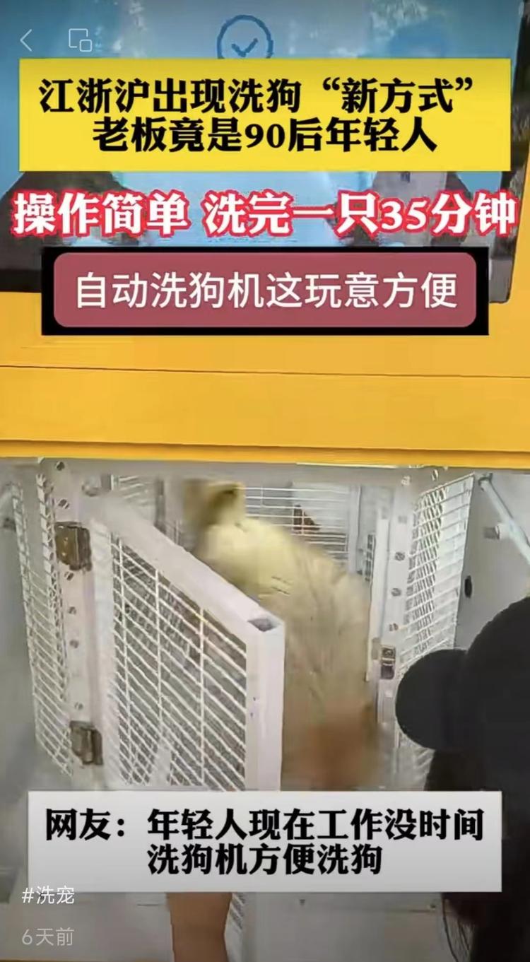 自动洗狗机，这玩意太迎合！..#风向标-搞钱风向标论坛-航海社群内容-航海圈