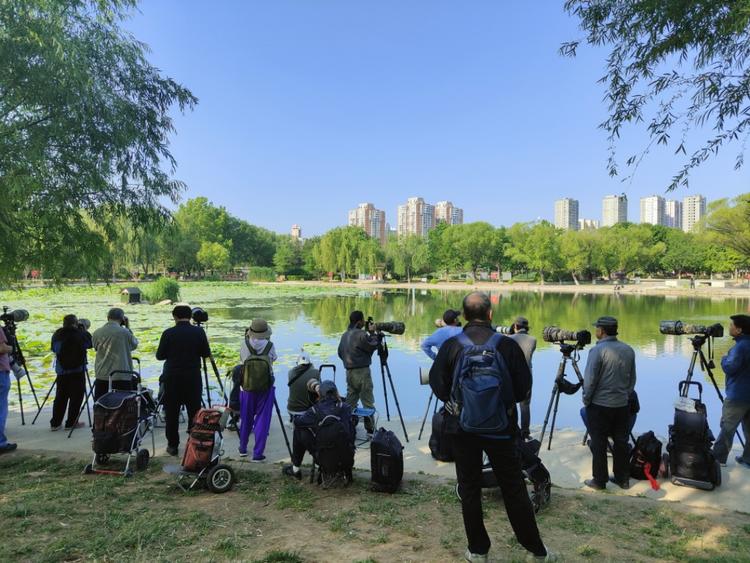 公园跑步，有好多拍照的，基..#风向标-航海圈