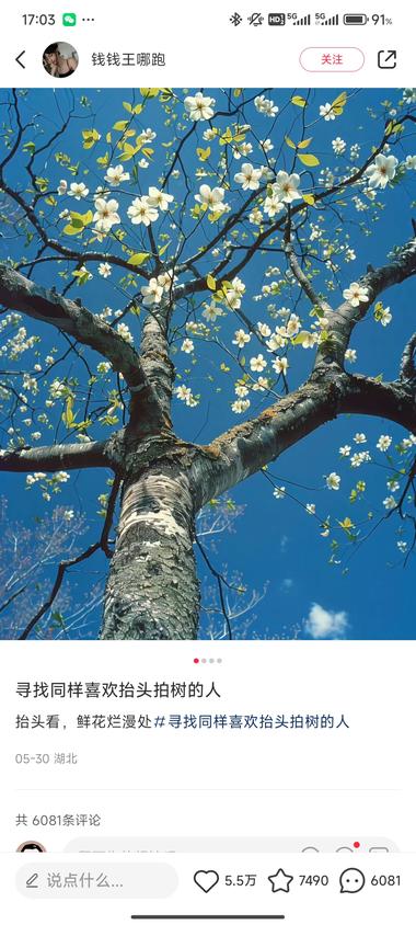 一共4篇笔记有一篇爆款互动..#风向标-搞钱风向标论坛-航海社群内容-航海圈