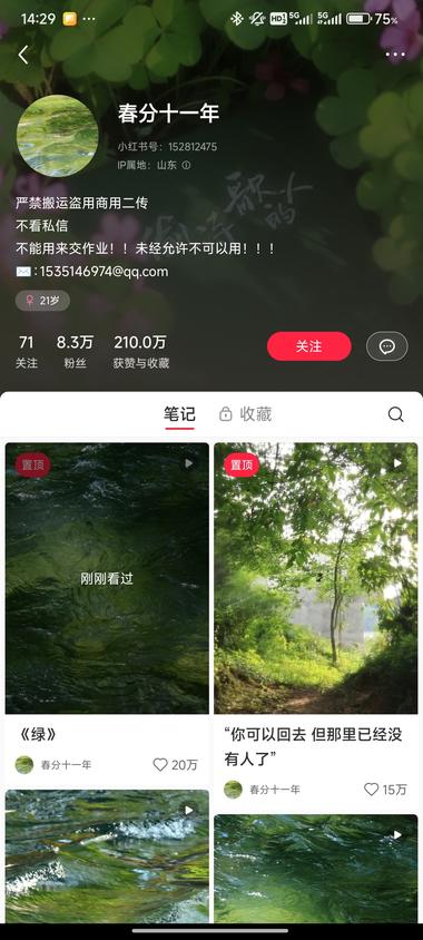 图片[3]-一些绿植，一些绿色流水
配治愈文….-网创风向标论坛-网络创业-网创圈