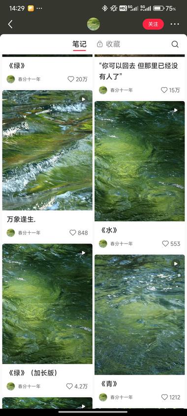 图片[2]-一些绿植，一些绿色流水
配治愈文….-网创风向标论坛-网络创业-网创圈