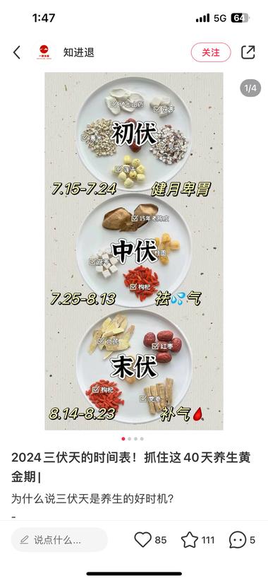 图片[2]-三伏天晒背养生，距离初伏还有17天左….-网创风向标论坛-网络创业-网创圈