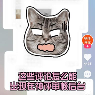 快手评论区也是有机会出圈的..#风向标-搞钱风向标论坛-航海社群内容-航海圈