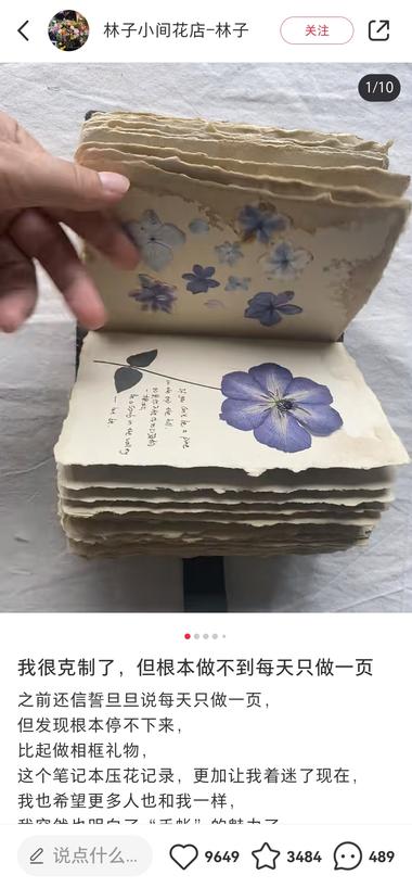 图片[2]-小众，植物染色做成书签，相框，各种摆….-网创风向标论坛-网络创业-网创圈