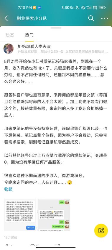 喜欢猫的可以试试这个，猫咪..#风向标-航海圈