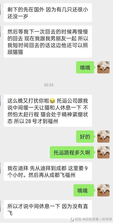 喜欢猫的可以试试这个，猫咪..#风向标-航海圈