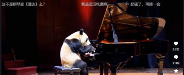 抖音刷到的，通过AI,大熊..#风向标-搞钱风向标论坛-航海社群内容-航海圈