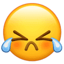 图片[6]-何老师在发呆是一个现象级IP，通过历….-网创风向标论坛-网络创业-网创圈