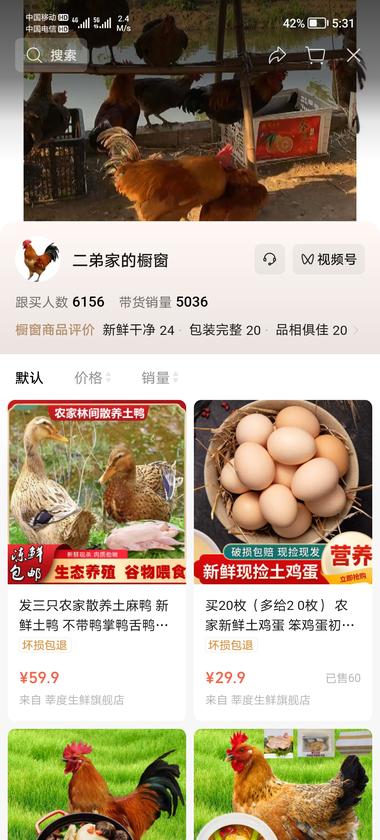 图片[2]-视频号上直接挂摄像头拍鸡场的鸡在走动….-网创风向标论坛-网络创业-网创圈