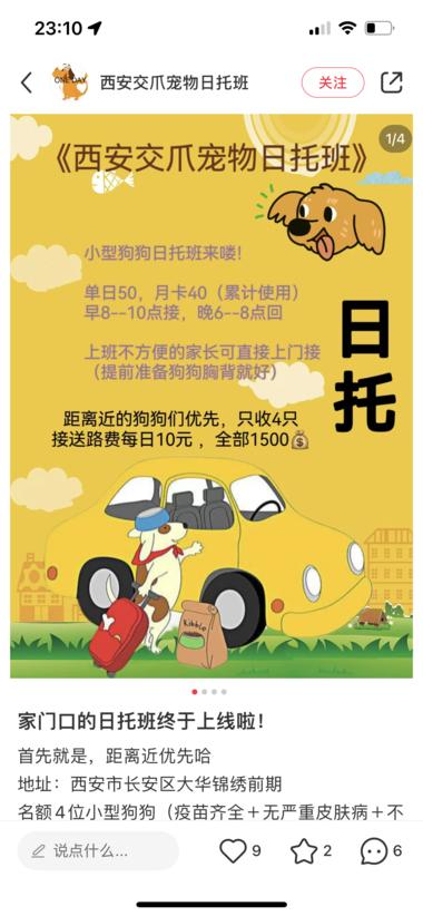 图片[6]-宠物幼儿园需求很大，未来前景也不错，….-网创风向标论坛-网络创业-网创圈